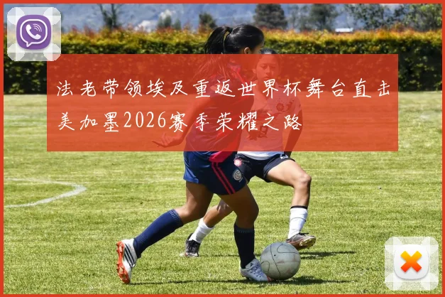 法老带领埃及重返世界杯舞台直击美加墨2026赛季荣耀之路